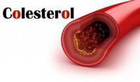 ¿Que es el Colesterol?